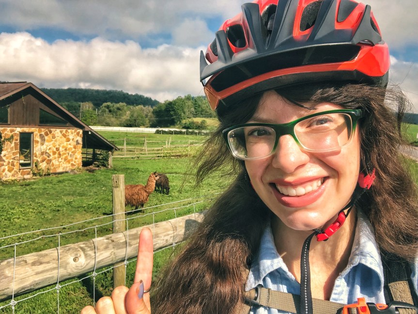 A Few of our Favorite Things: 2018 in Past-times and&nbsp;Pleasures